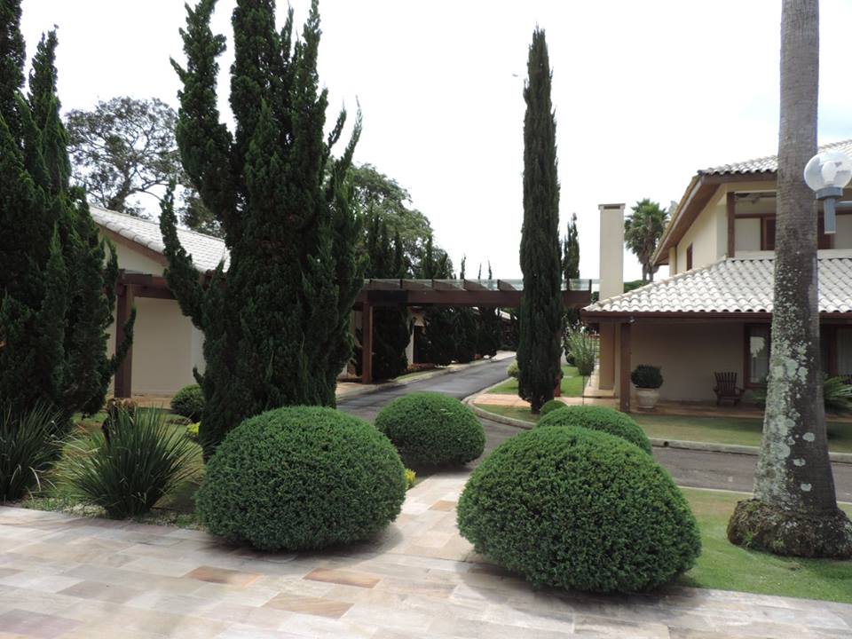 Jardim residencial com ciprestes e arbustos ornamentais