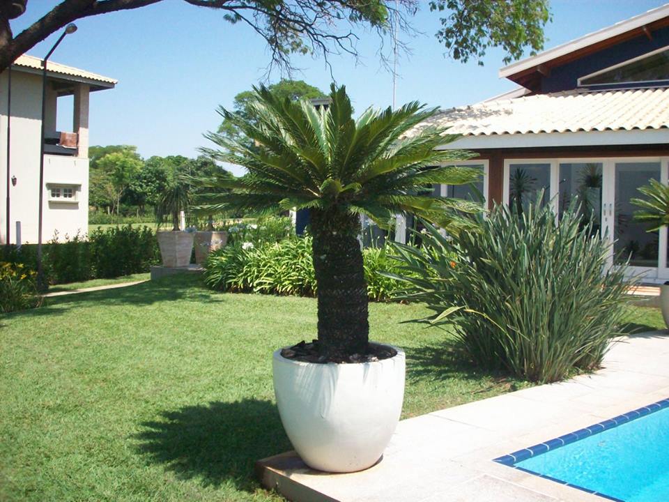 Jardim em casa de veraneio 11