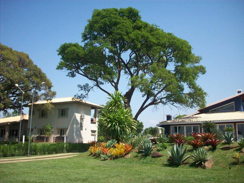 Jardim em casa de veraneio 14