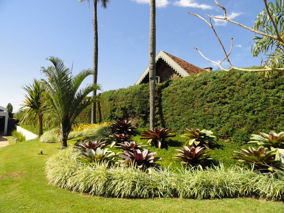 Jardim em casa de veraneio 16