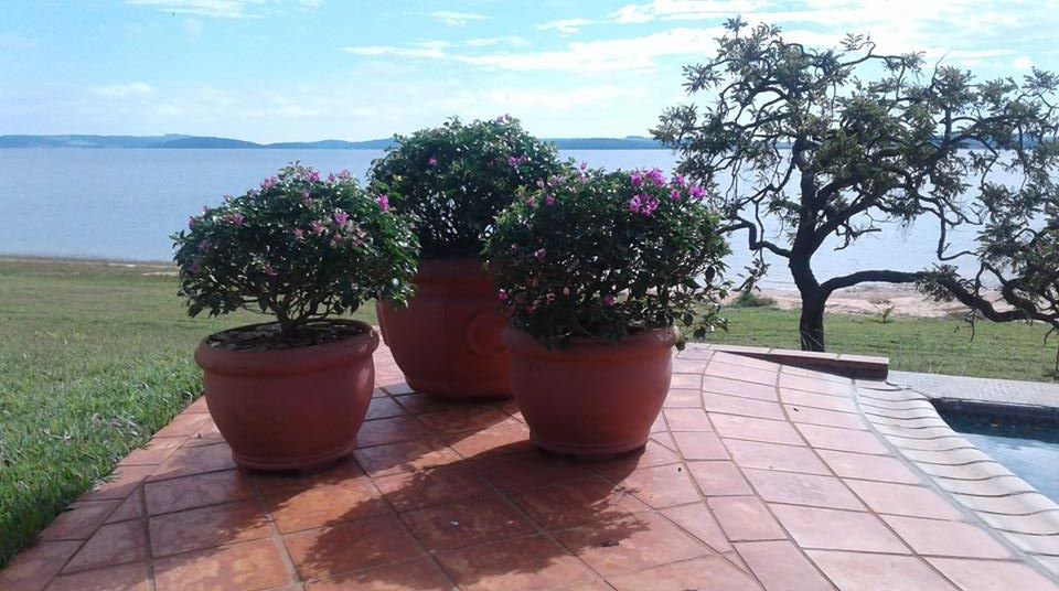 Jardim em casa de veraneio 24