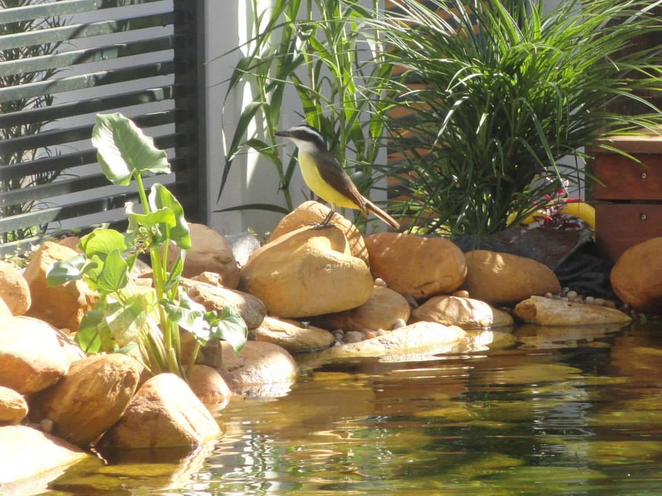 Jardins e Laguinhos 05