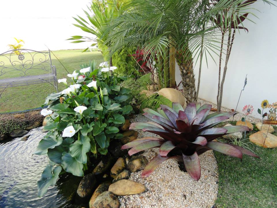 Jardins e Laguinhos 06