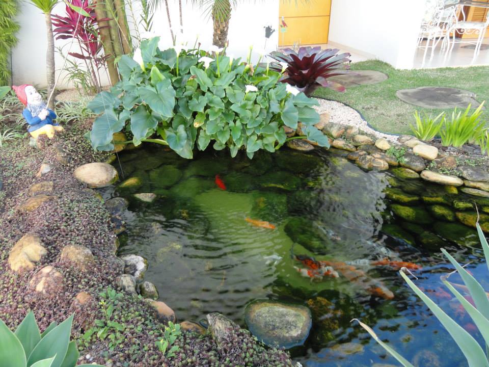 Jardins e Laguinhos 07
