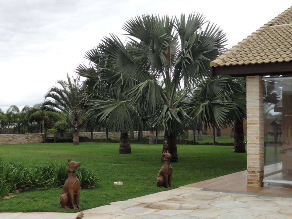 Jardins em Fazenda, Chácaras e Haras 25