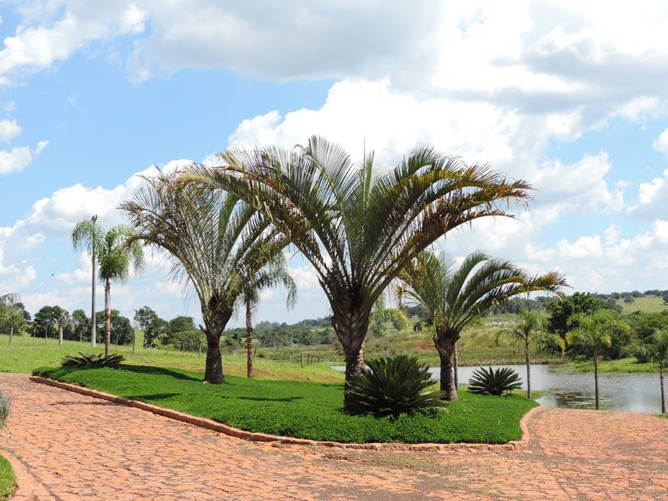 Jardins em Fazenda, Chácaras e Haras 31