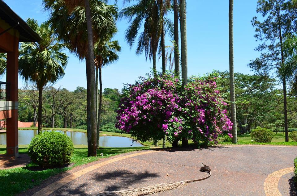 Jardins em Fazenda, Chácaras e Haras 42