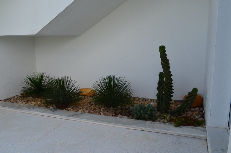 Jardins em Pequenos Espaços 10