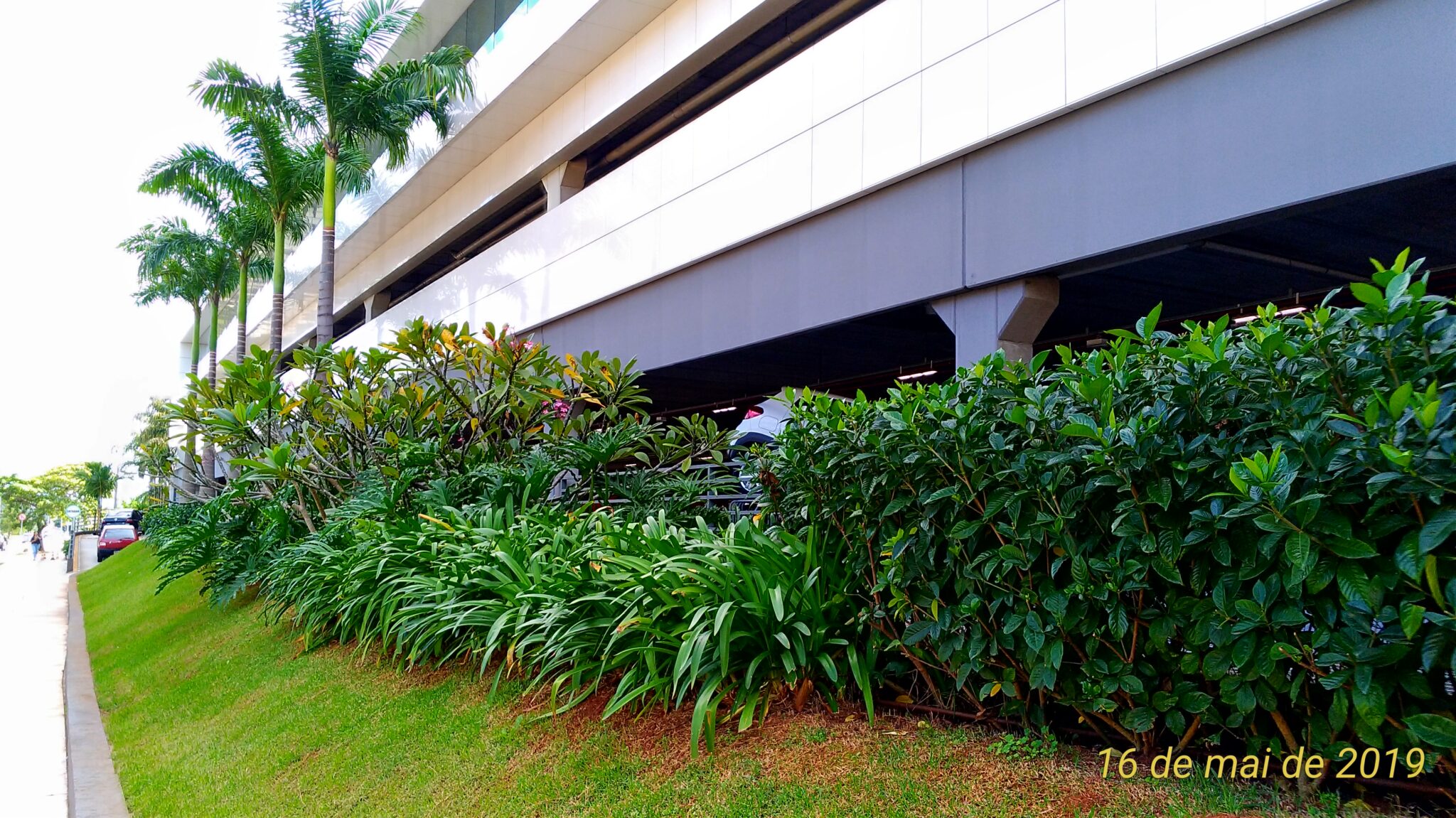 P_20190516_121534_vHDR_Auto