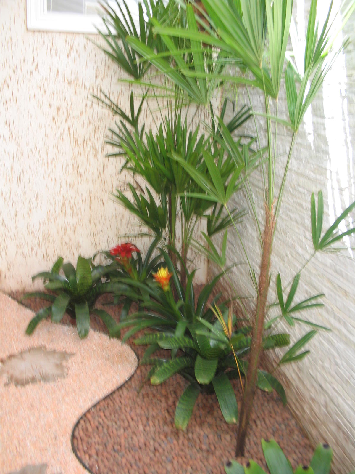 elzinha 003