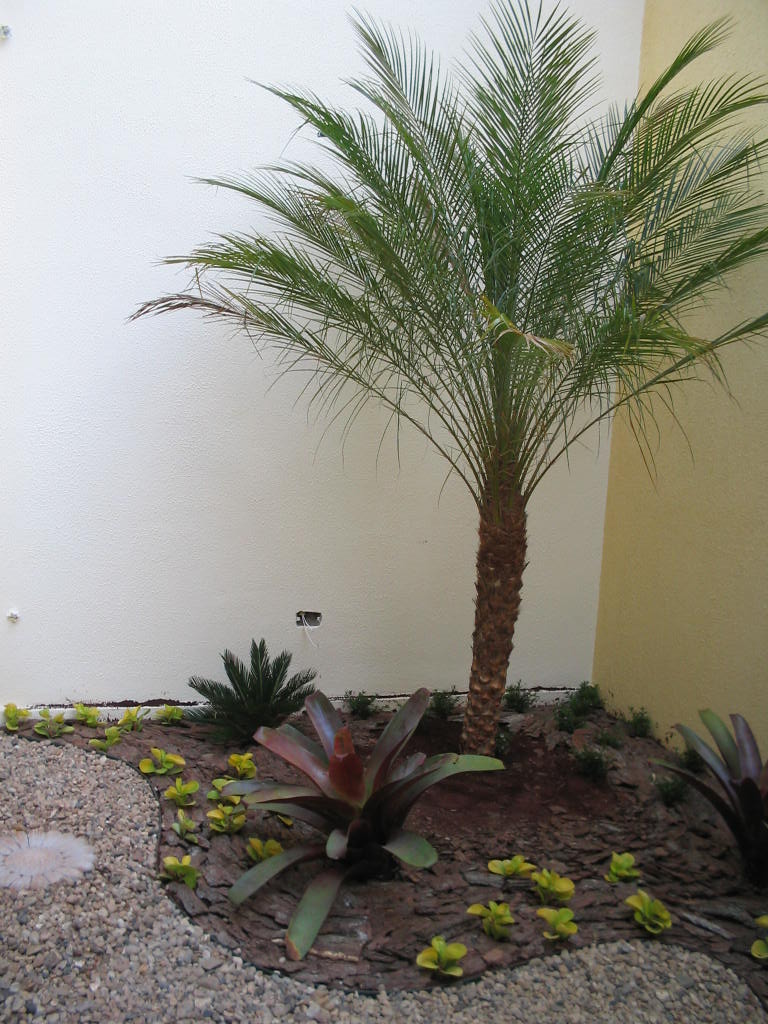 hotel são francisco 010